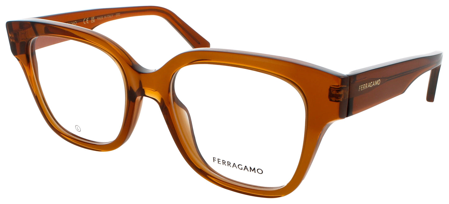 Salvatore Ferragamo SALVATORE FERRAGAMO-SF2952N-261-53
