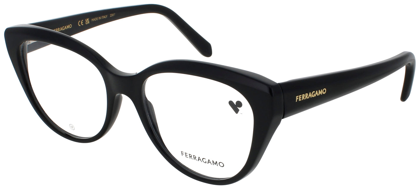 Salvatore Ferragamo SALVATORE FERRAGAMO-SF2970-001-53