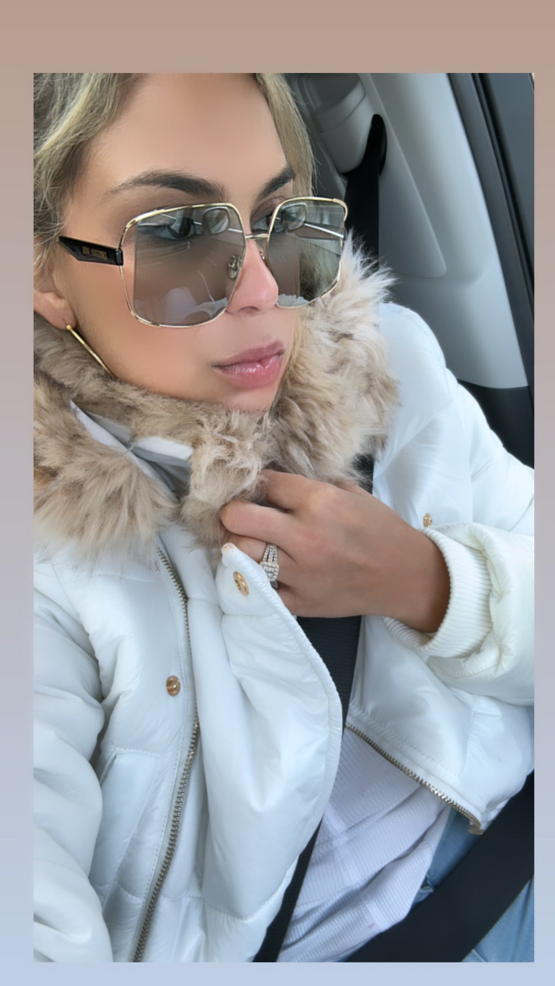 DIOR ARCHIDIOR