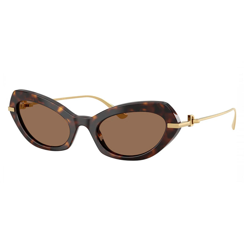 Dolce & Gabbana DG4473 502/73 Havana/Dark Brown