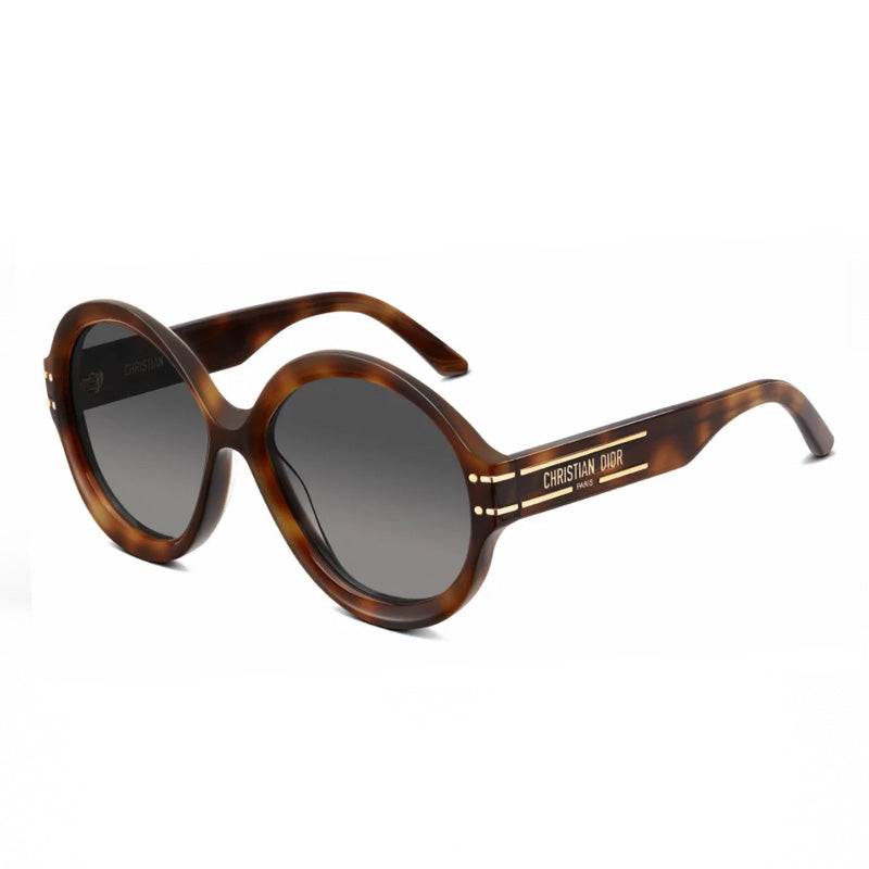 Dior DIORSIGNATURER1U 26A1 Havana/Smoke Gradient