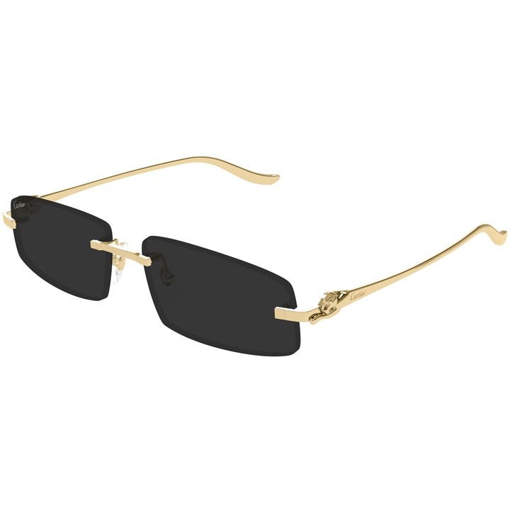 Cartier CARTIER-CT0505S-001