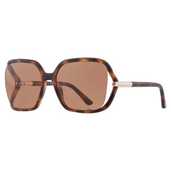 Tom Ford Tom Ford Solange Brown Butterfly Ladies Sunglasses FT1089 52E 60