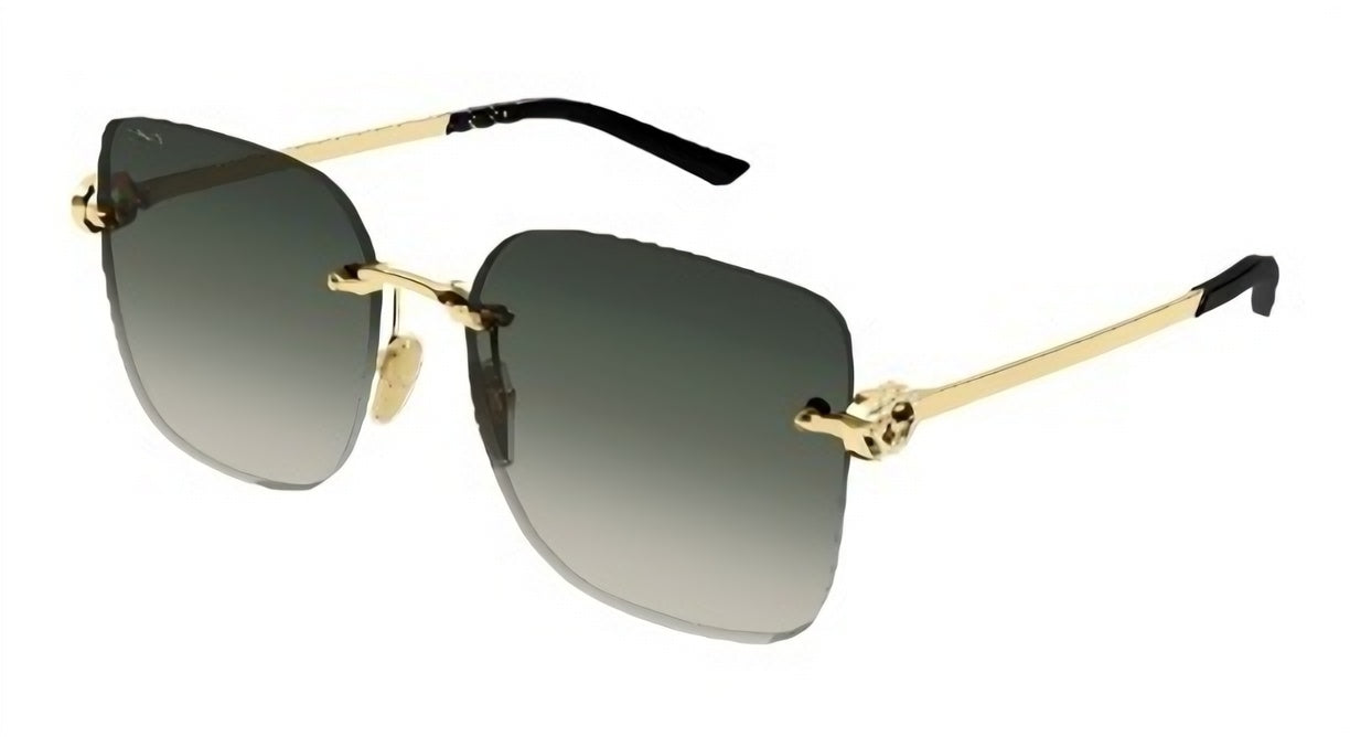 Gucci GUCCI-GG2229SA-005