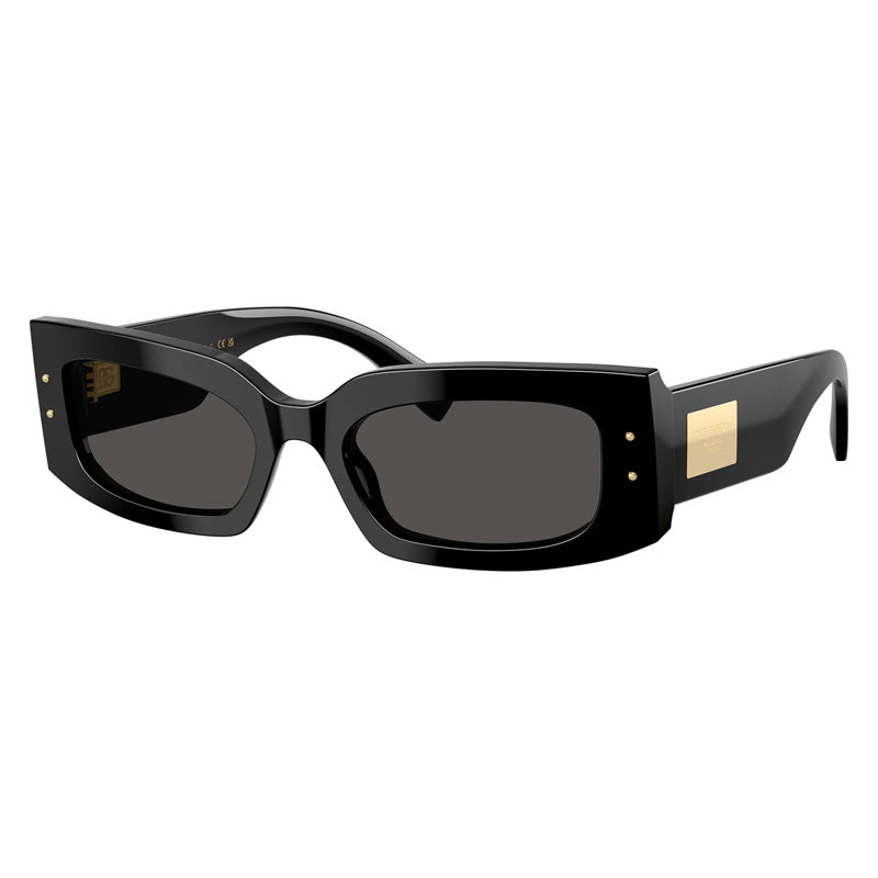 Dolce & Gabbana DG4479 501/87 Black/Dark Grey 55mm