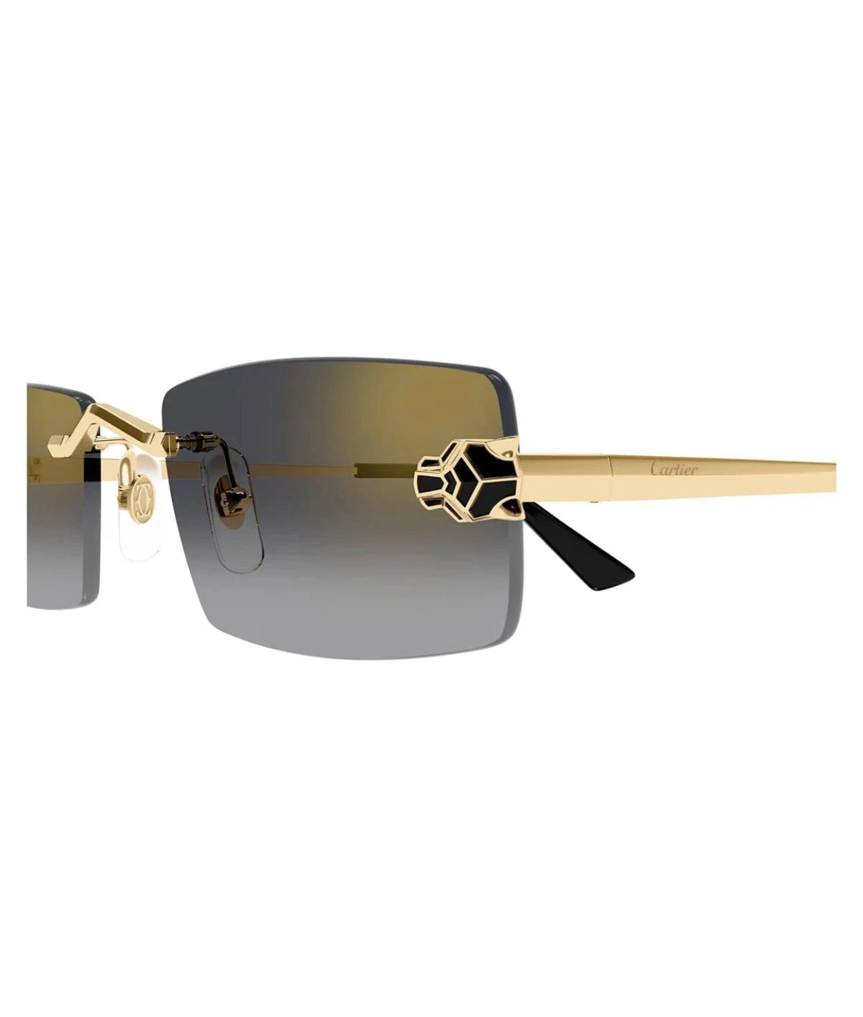 Cartier CARTIER-CT0598S-001