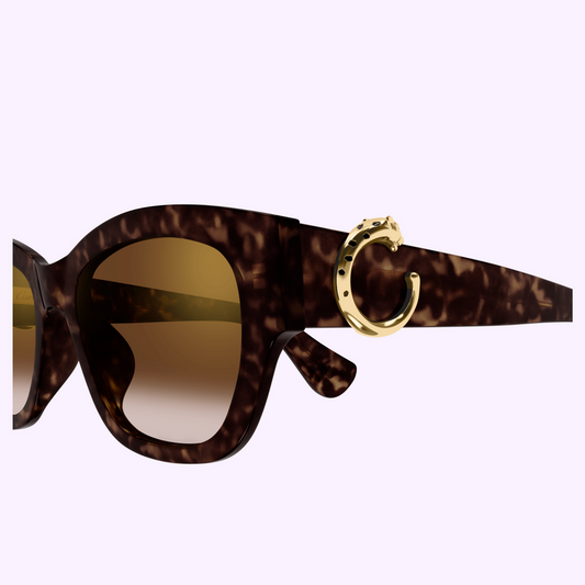Cartier Cartier-CT0548SA-002