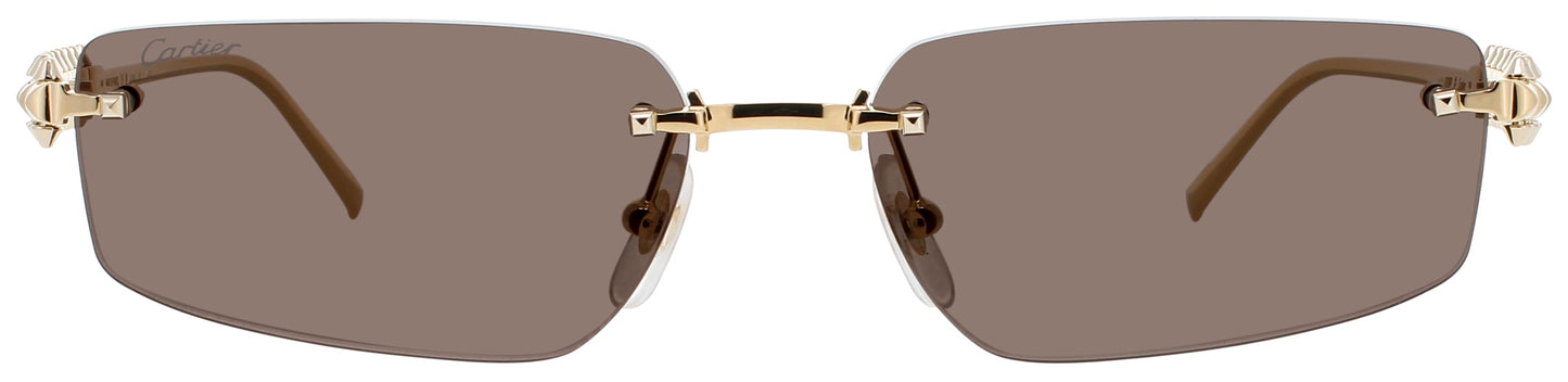 Cartier CARTIER CT0544S-002