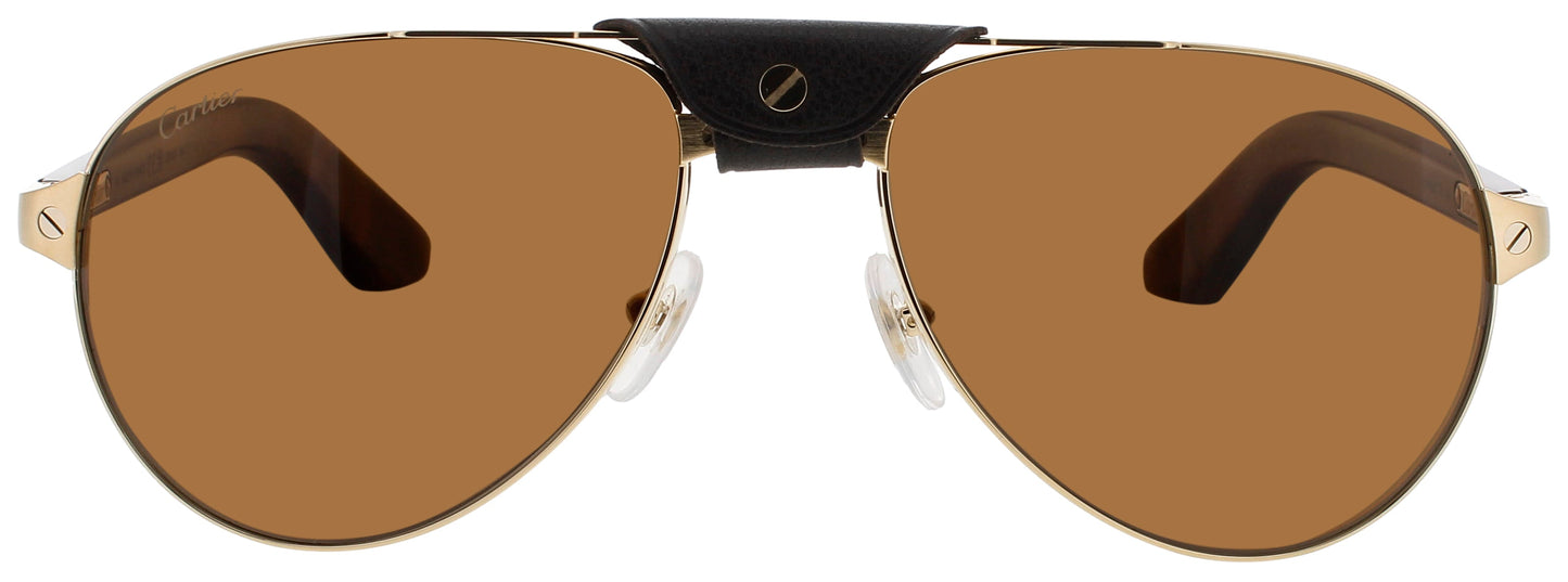 Cartier CARTIER CT0495S-004