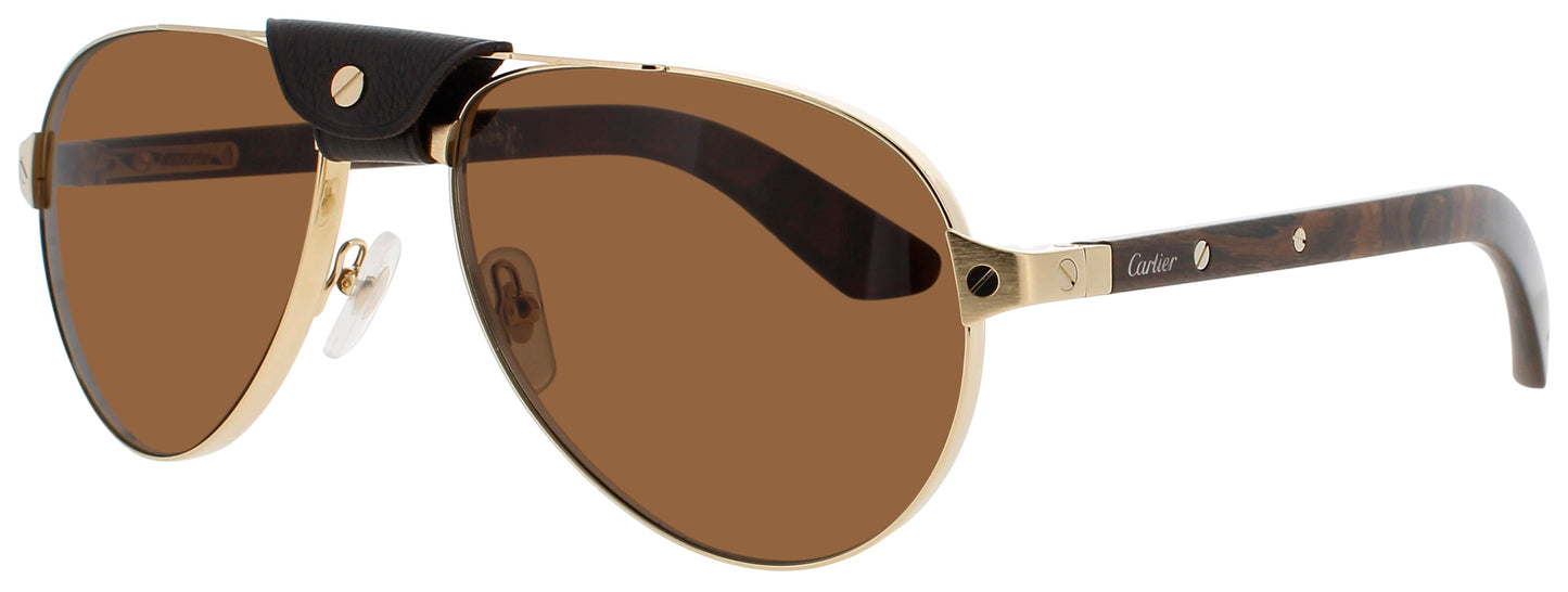 Cartier CARTIER CT0495S-004