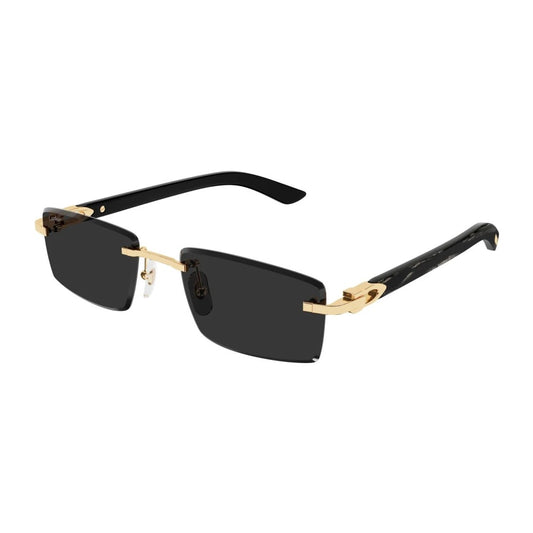 Cartier CARTIER-CT0582S-001