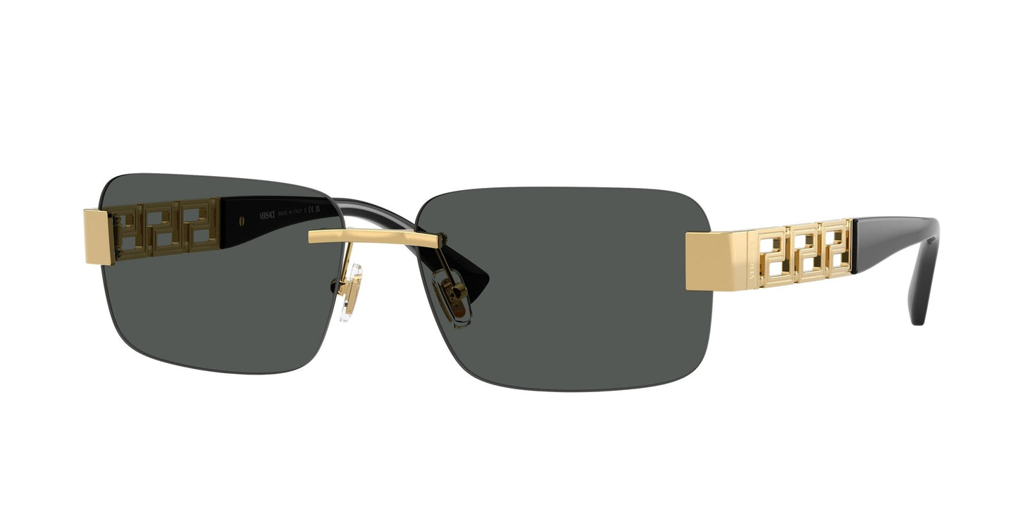 Versace VERSACE-VE2298-100287-58