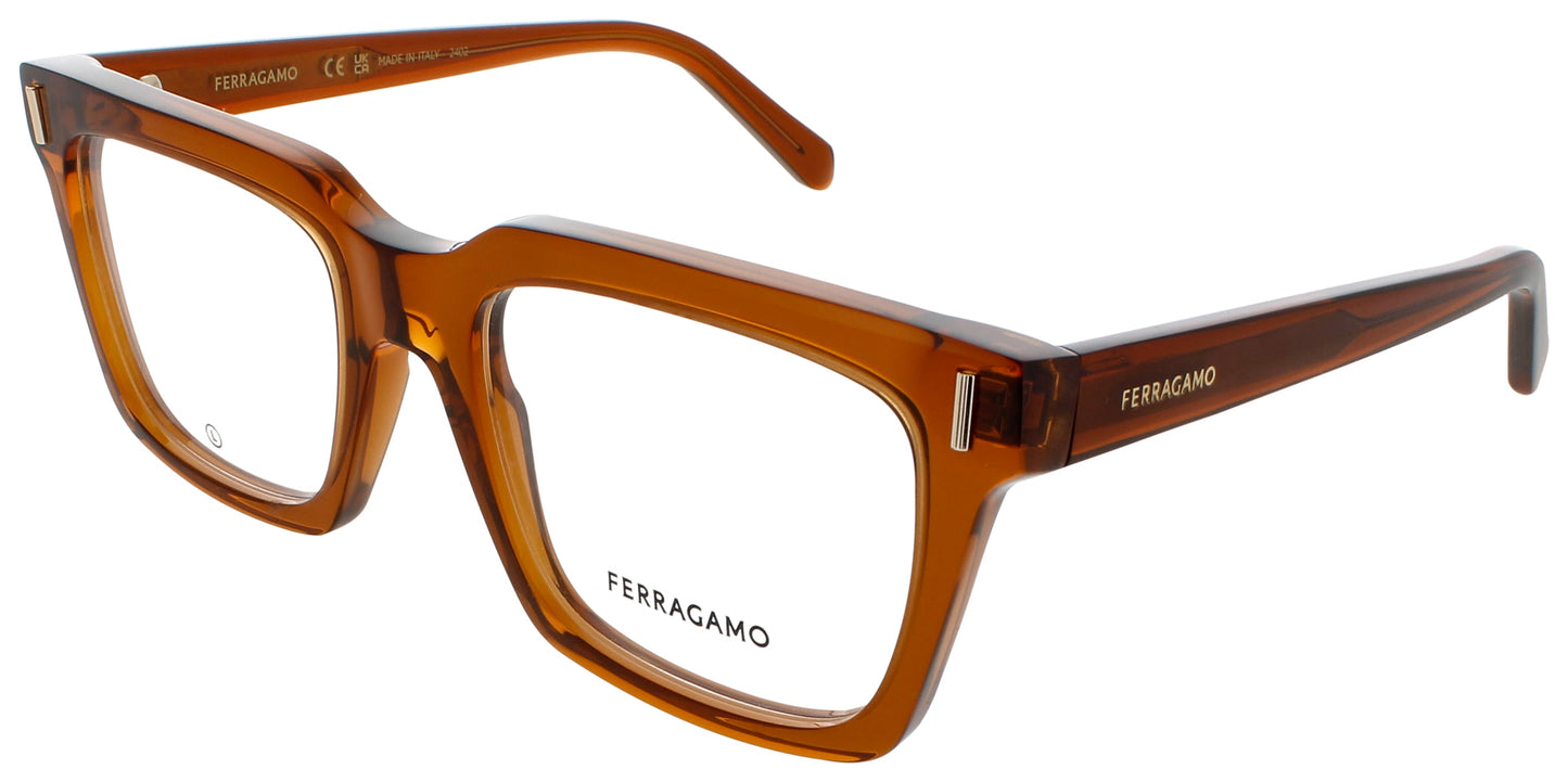 Salvatore Ferragamo SALVATORE FERRAGAMO-SF2993-232-53