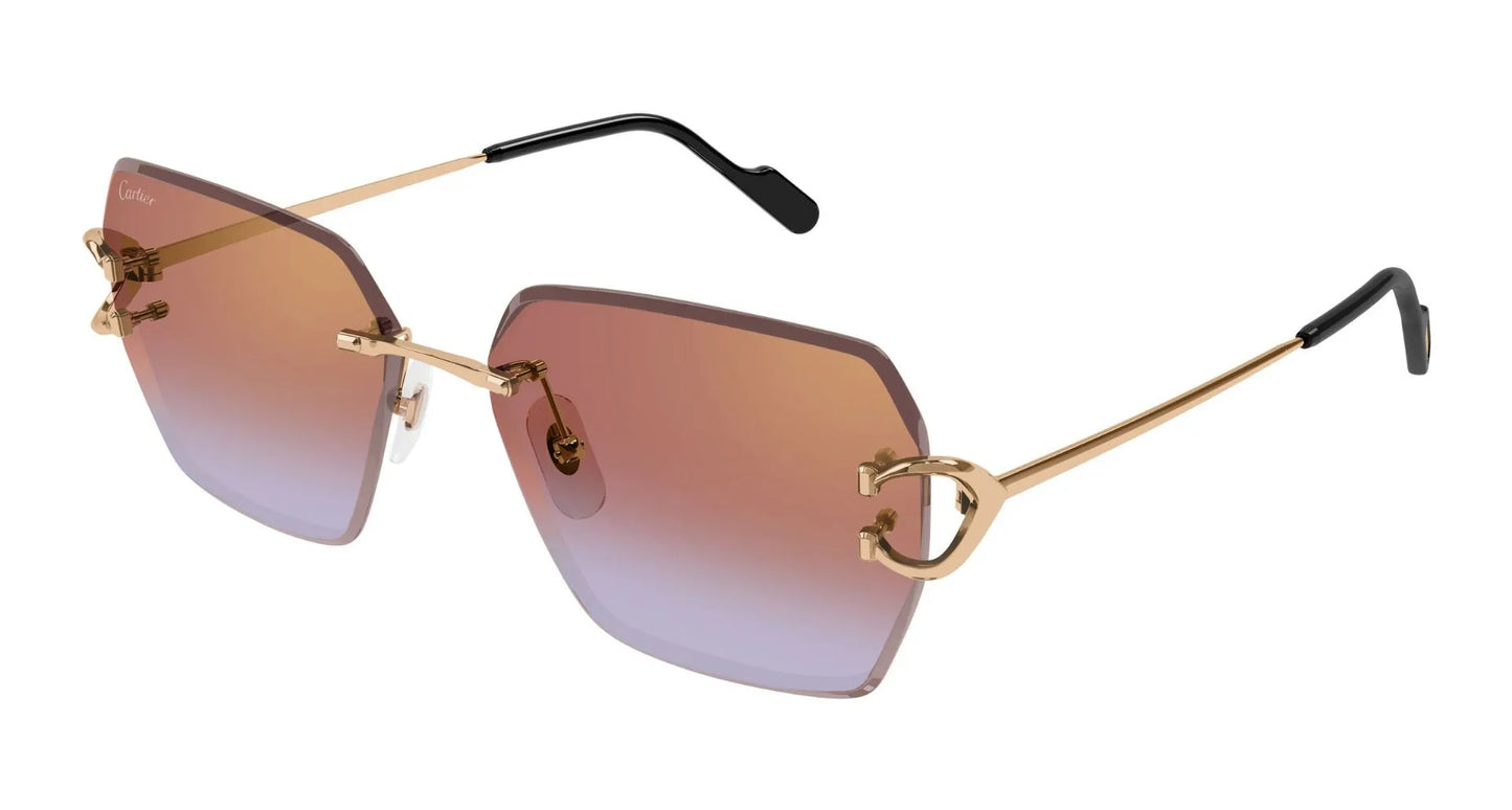 Cartier CARTIER-CT0466S-005