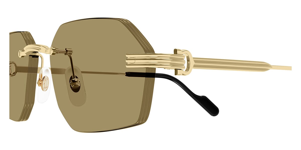 Cartier CARTIER-CT0616S-002