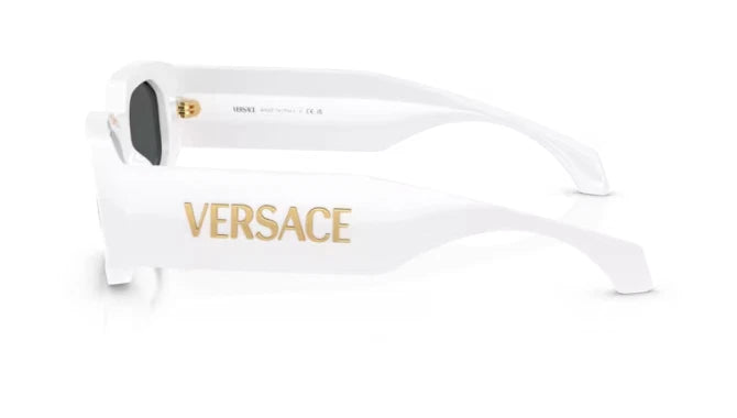 Versace VERSACE-VE4489U-31487-55