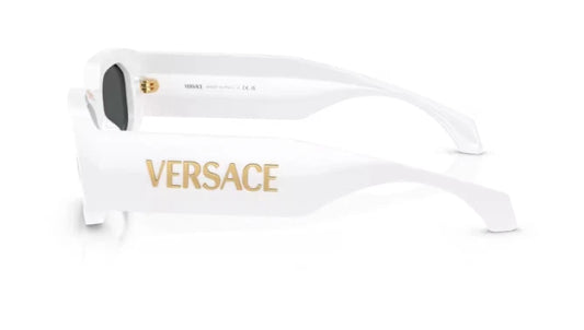 Versace VERSACE-VE4489U-31487-55