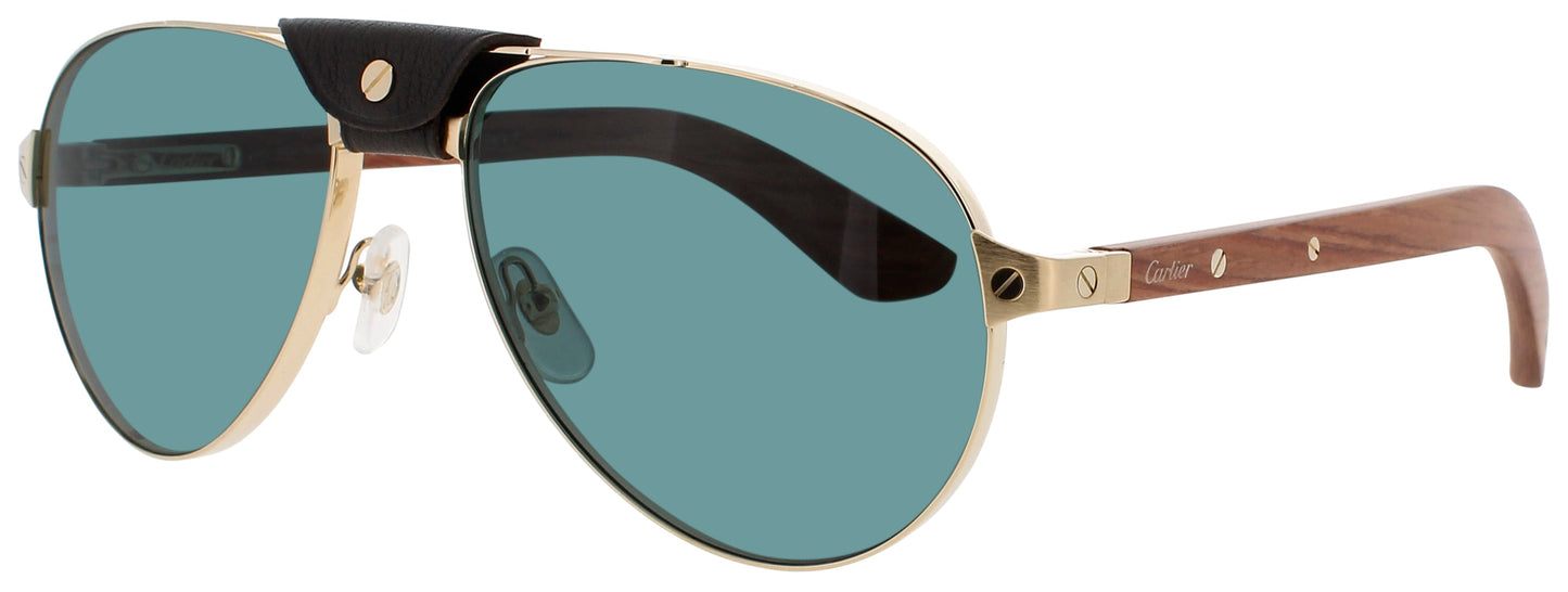Cartier CARTIER CT0495S-002