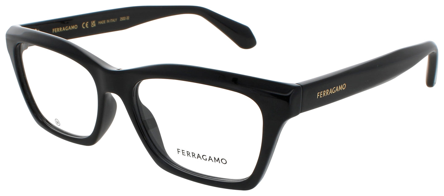 Salvatore Ferragamo SALVATORE FERRAGAMO-SF2986-001-53