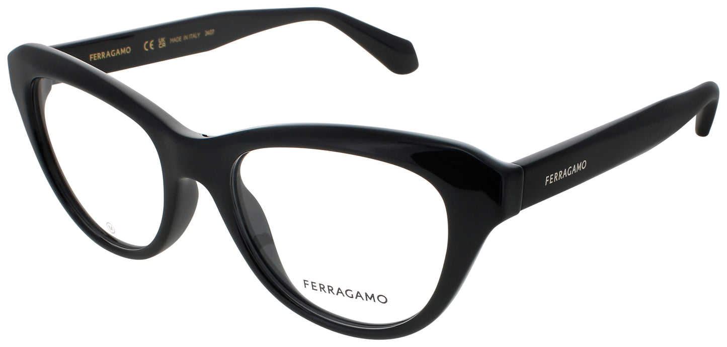 Salvatore Ferragamo SALVATORE FERRAGAMO-SF2989E-001-51