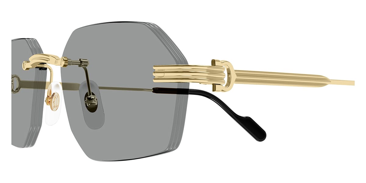 Cartier CARTIER-CT0616S-004