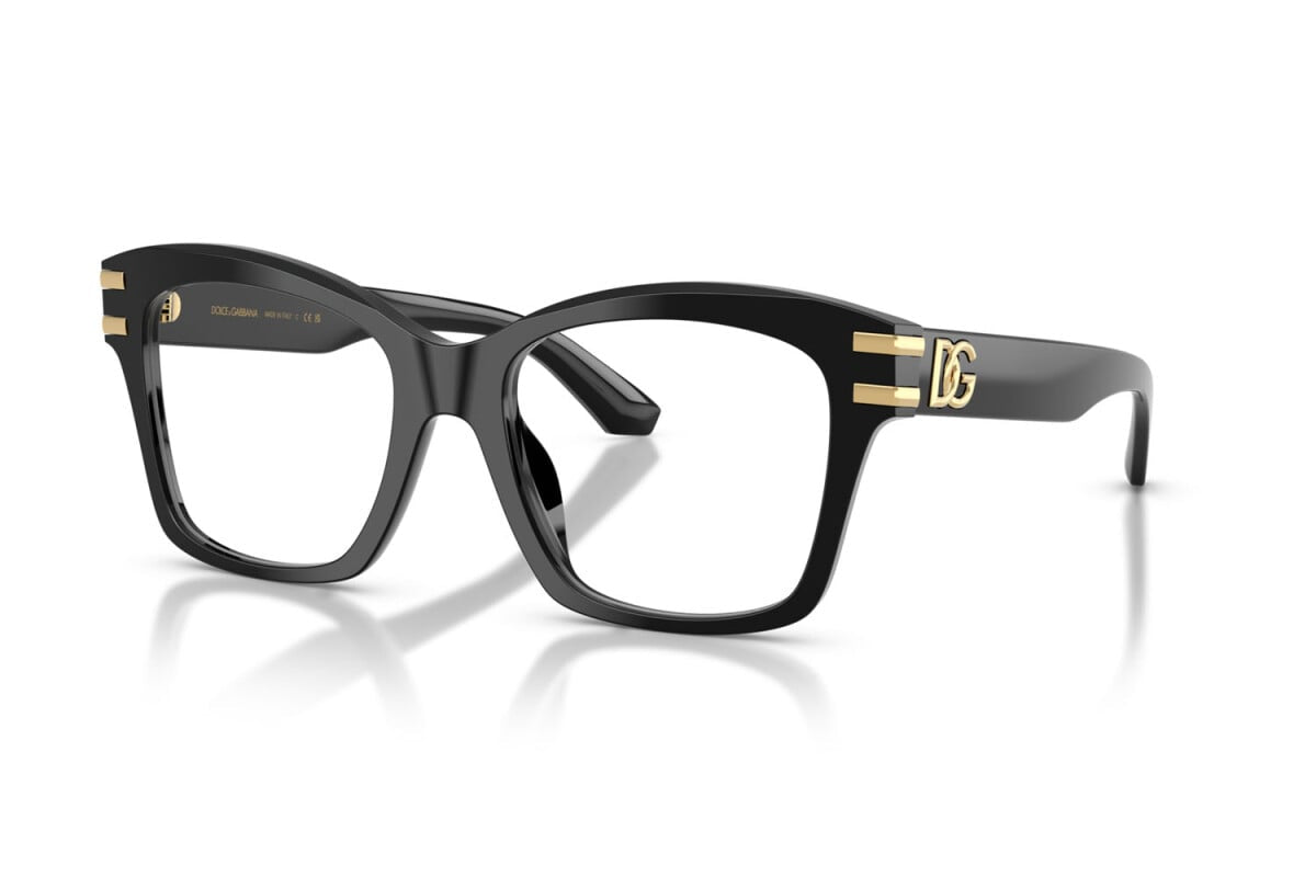 Dolce & Gabbana DG 3419 (501)