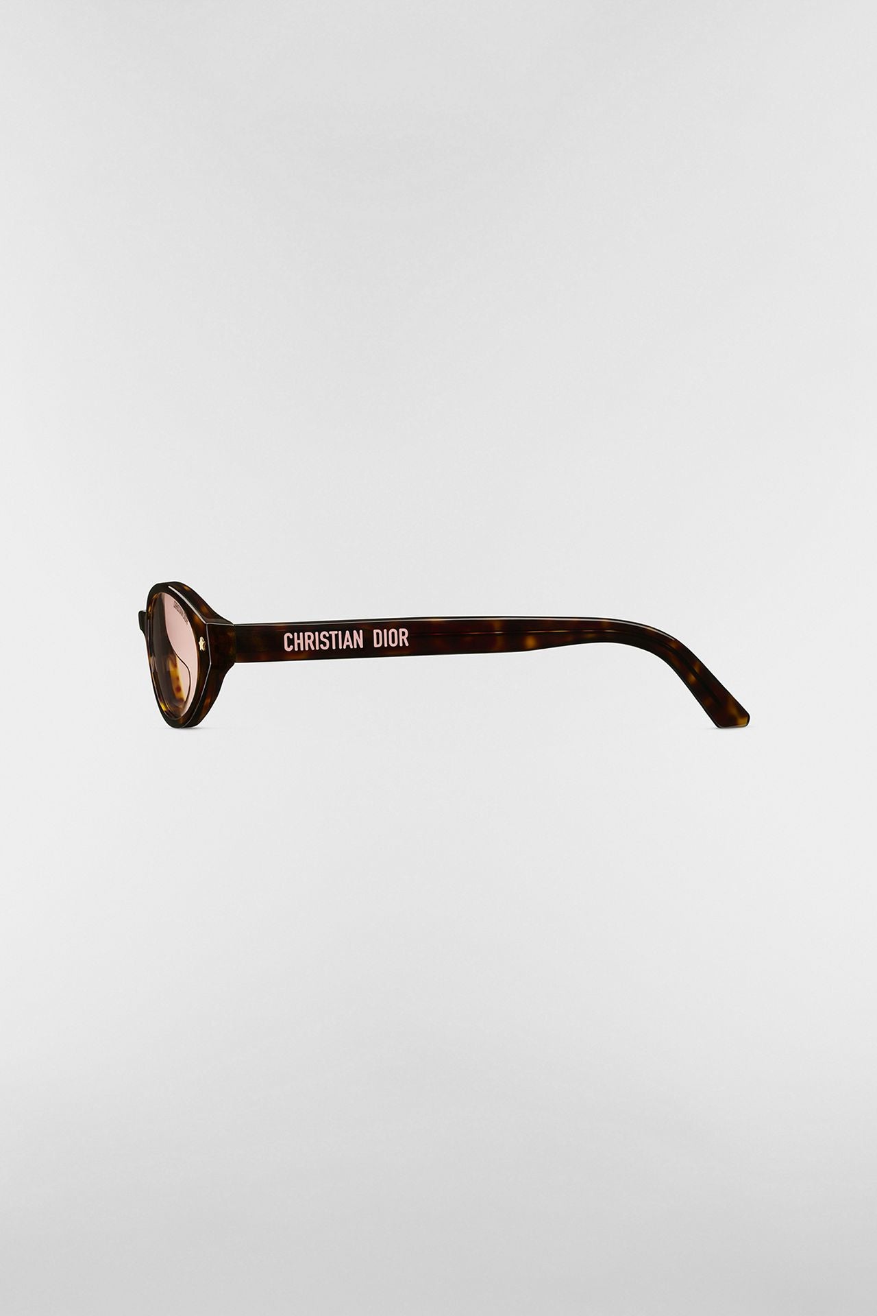DiorPacific R1I Brown