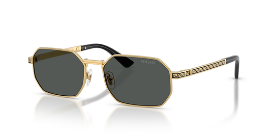 Versace VE 2297 100287