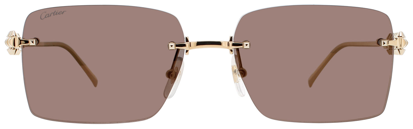 Cartier CARTIER CT0545S-003
