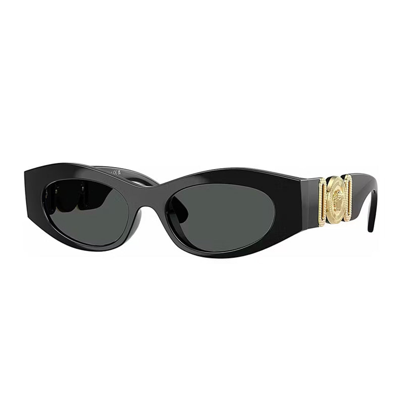 Versace VE4480U GB1/87 Black/Dark Grey 51mm