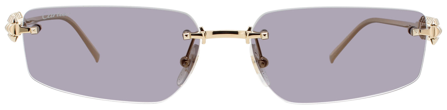 Cartier CARTIER CT0544S-001