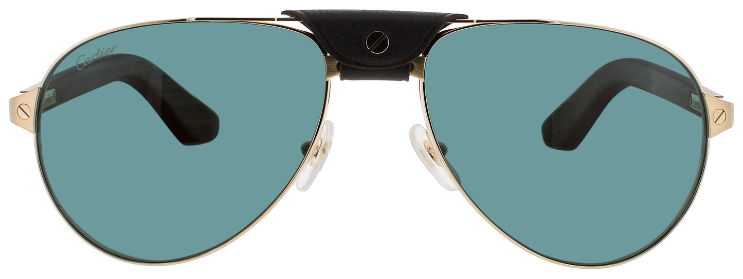 Cartier CARTIER CT0495S-002