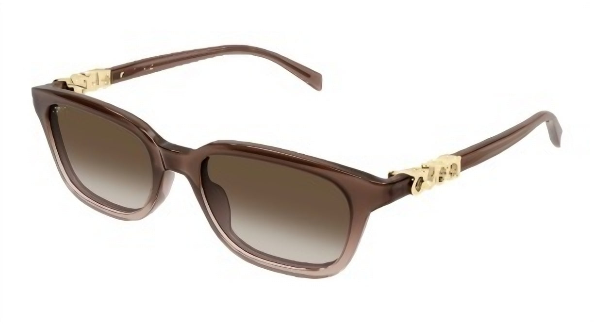 Gucci GUCCI-GG2208S-004