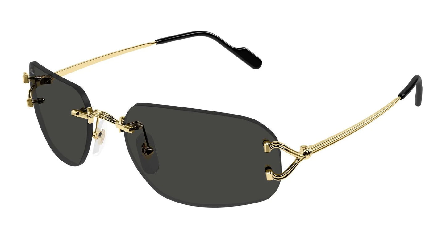 Cartier CARTIER-CT0663S-001
