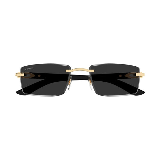 Cartier CARTIER-CT0582S-001
